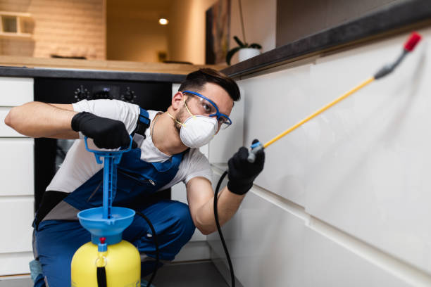 Best Mosquito Control Services  in Columbia, CA