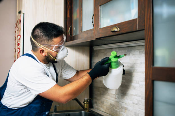 Best Commercial Pest Control Services  in Columbia, CA
