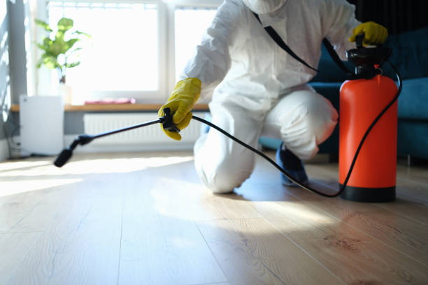 Best Affordable Pest Control Services  in Columbia, CA