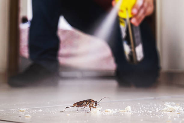 Best Wasp Removal Services  in Columbia, CA
