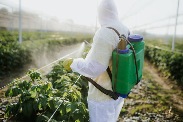 Best Insect Control  in Columbia, CA
